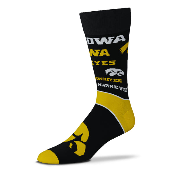Wholesale End To End Big Logo - Iowa OSFM