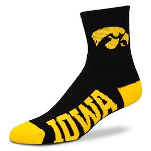 Iowa Hawkeyes - Team Color LARGE