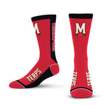 MVP - Maryland Terrapins LARGE