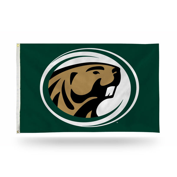 Wholesale Bemidji State Banner Flag