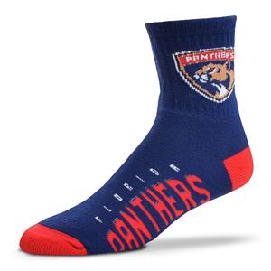 Wholesale Florida Panthers - Team Color LARGE